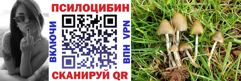 Псилоцибиновые грибы мицелий  Купить  Альметьевск 